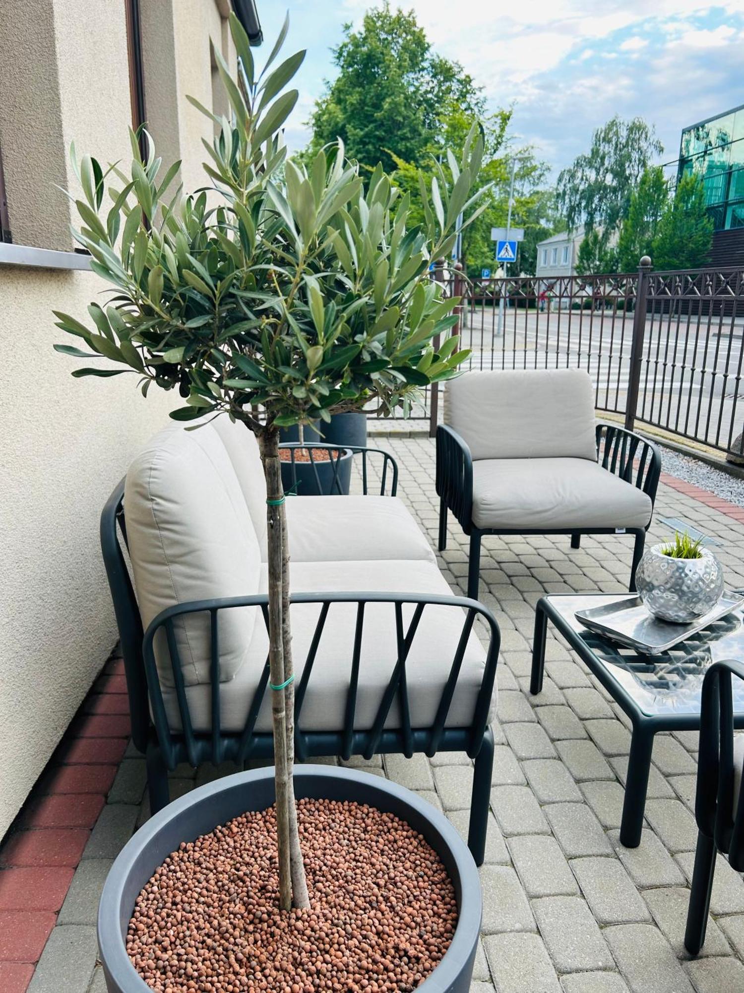 Astos Vila Palanga Eksteriør bilde